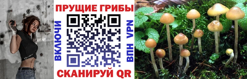 как найти закладки  МЕГА ССЫЛКА  Псилоцибиновые грибы GOLDEN TEACHER  Калач-на-Дону 